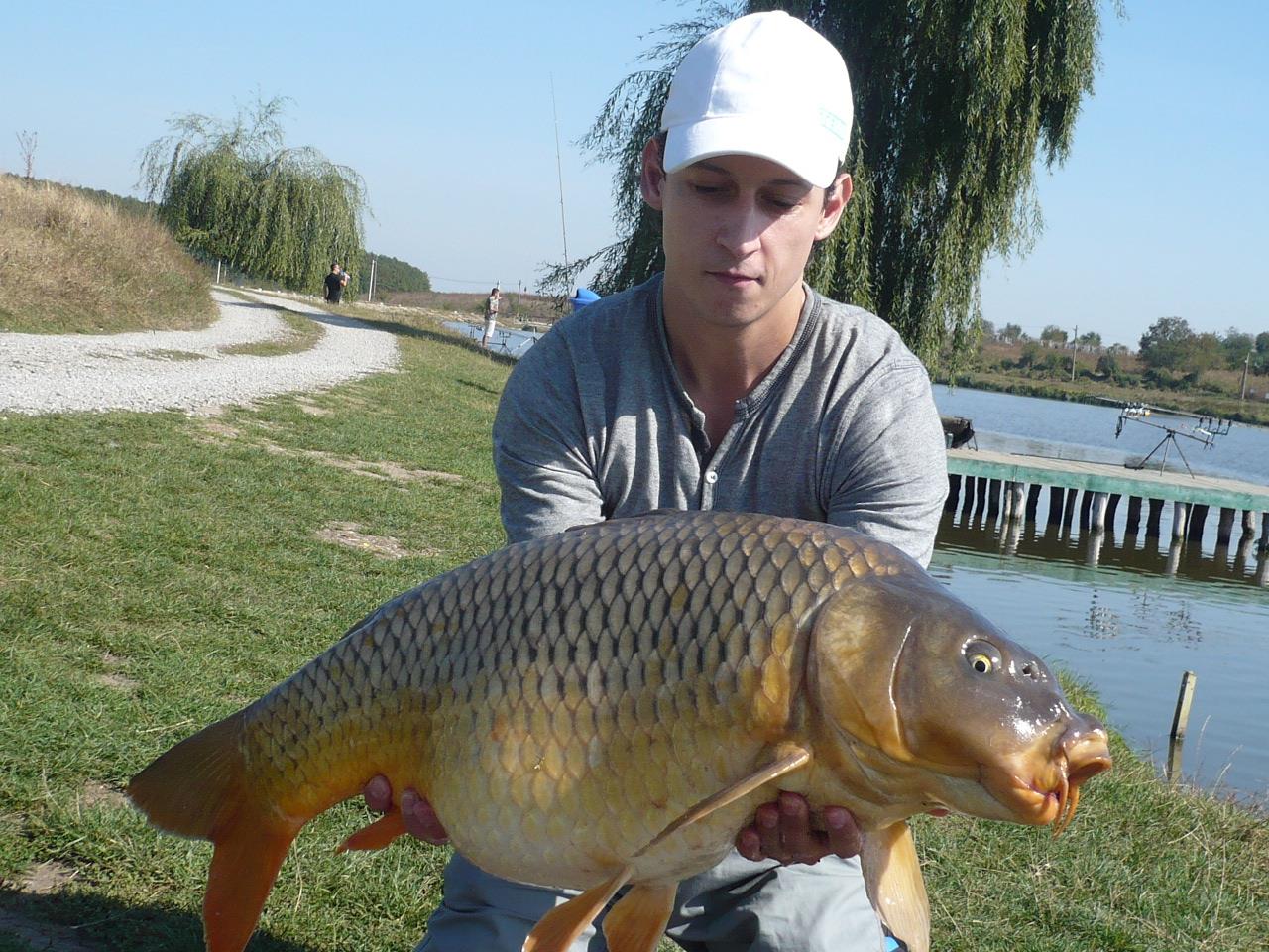 MV 2 - 1.OCT.2014 - p1020867.JPG